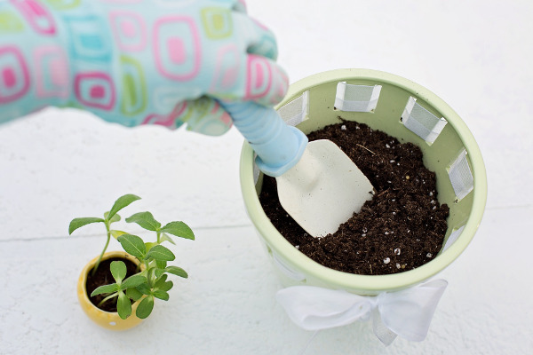 Esperienza di giardinaggio con ISEL